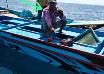 Sempat Hilang Kontak dan Terombang-ambing di Laut, Nelayan SBB Ditemukan Selamat di Maluku Utara​