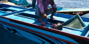 Sempat Hilang Kontak dan Terombang-ambing di Laut, Nelayan SBB Ditemukan Selamat di Maluku Utara​